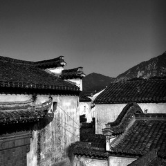 MG_78412