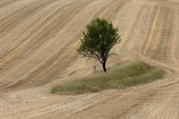 R1073863