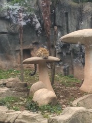 1336