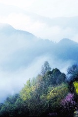 3F334C76-18A6-471F-A273-7185BA86A7FE/L0/001