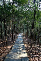 IMG_5198.JPG
