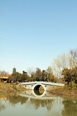 IMG_5701.JPG