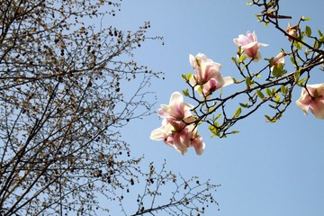 IMG_6221.JPG