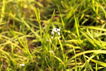 IMG_6150.JPG