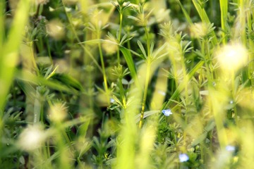 IMG_6180.JPG