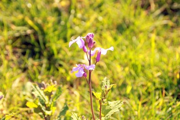 IMG_5837.JPG