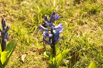 IMG_5829.JPG