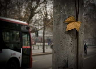 IMGP5092.JPG