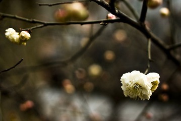 IMGP5165.JPG
