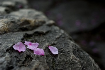 IMGP5394.JPG