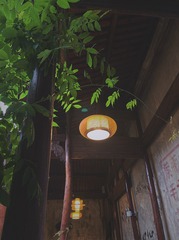 8AF9282C-6552-42EB-9F2F-8842149C719A/L0/001