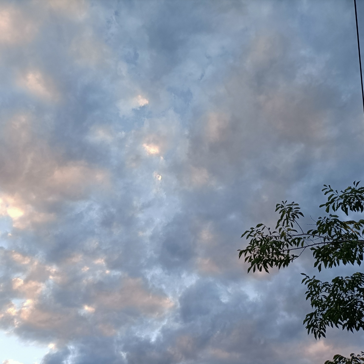 今日天气少云心情愉快