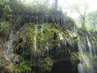 DSC02177.JPG