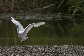 100856