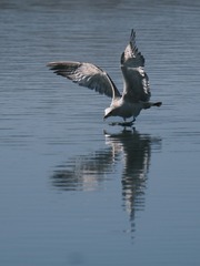 4839