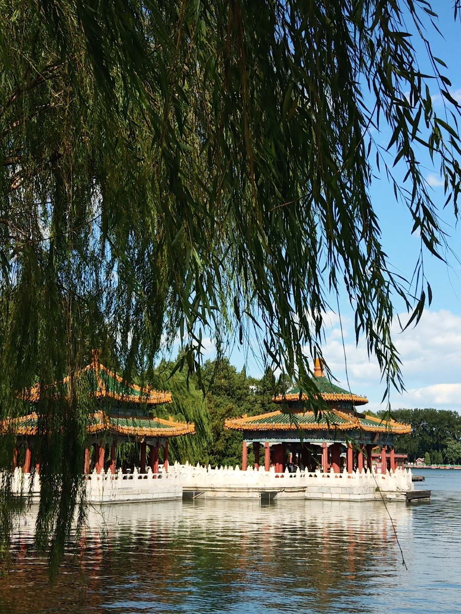 北京市北海公园老佛爷的后花园