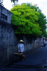 IMGP0803.jpg