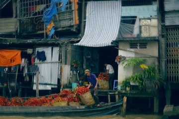 IMGP0185.jpg