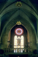 IMGP0388.jpg