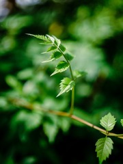 7B4F057D-5649-4F85-B068-2FFFFE1D5CBF/L0/001