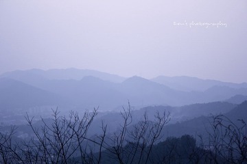 IMG_6195.jpg