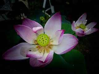 7381355F-38A6-4CD0-B497-DA64AB1B73DD/L0/001