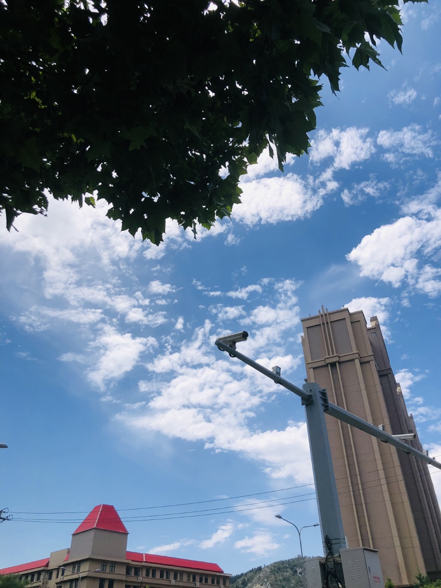 蓝天白云绿树红顶,晴天无风好天气湛蓝色手机原图