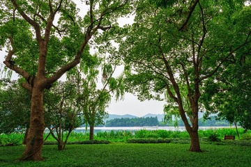 3C6A6B88-C73E-4F02-B04D-2E3F58D8E7A1/L0/001