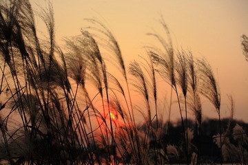 _MG_8840.JPG
