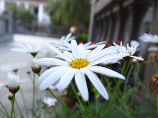R0011364.JPG