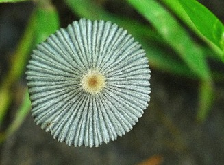 1202634