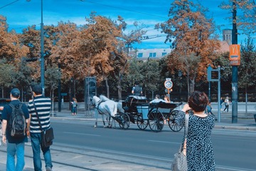 5EA6F82E-98C0-451D-9232-DDBE0BFB1B75/L0/001