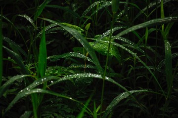 9AABF15E-603E-4A71-8C1C-D698DB533F40/L0/001