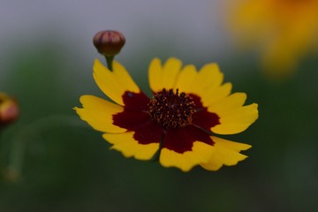 C0AD956F-B759-4C4F-8A0A-C221A40FF7BF/L0/001
