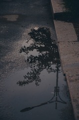 63BA2196-AB0F-4B8E-AD20-09A36D1B4D7F/L0/001