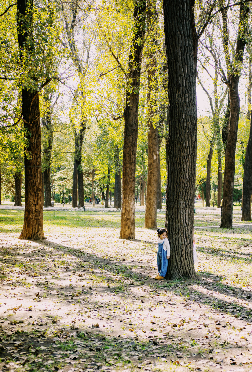 树下小女孩与家长互动,这就是孩子的童年.