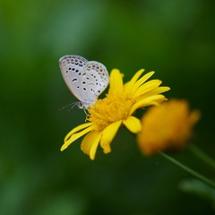 56910