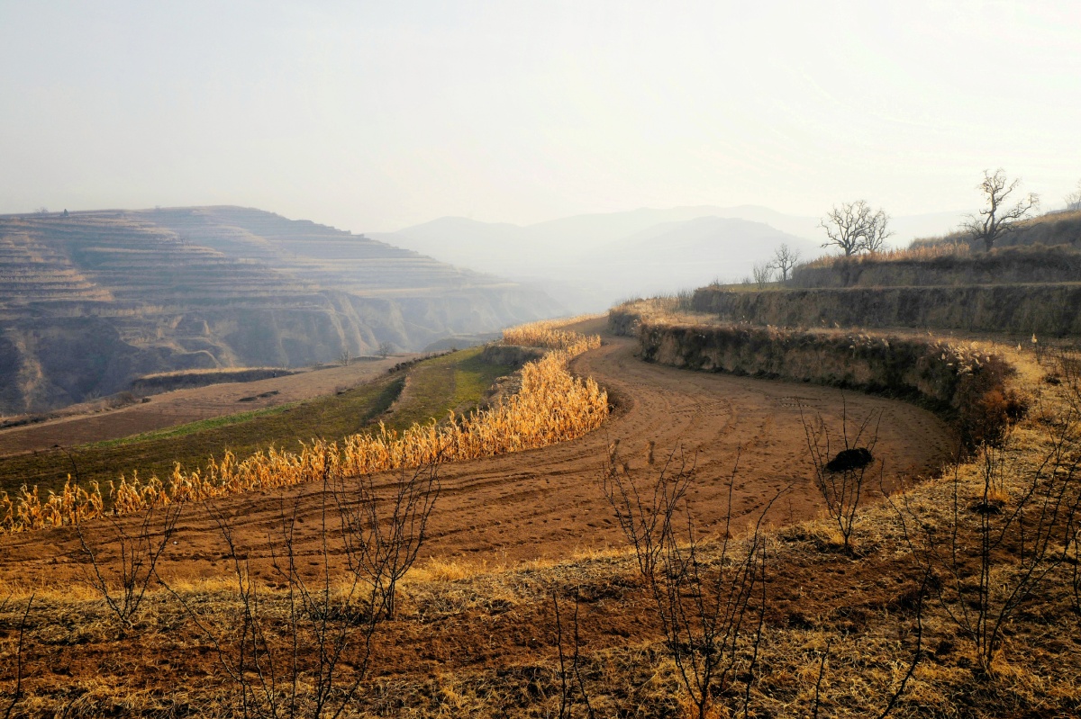 山西稷山县风光