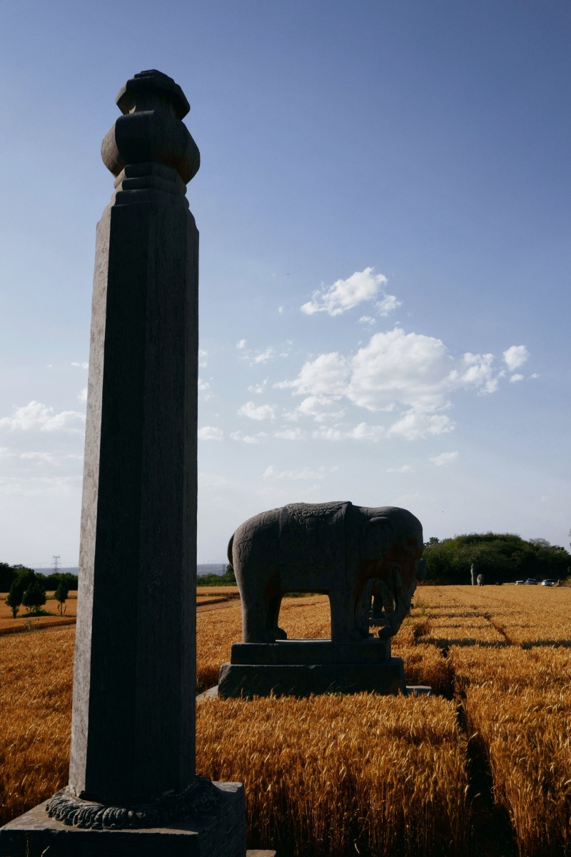 河南巩义宋永泰陵风光