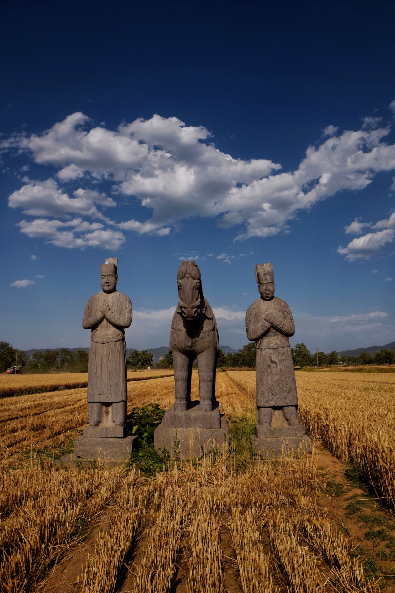 河南巩义宋永泰陵风光