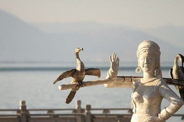 IMG_6490.JPG
