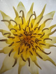 1000032610