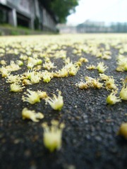 DSCF1578.JPG