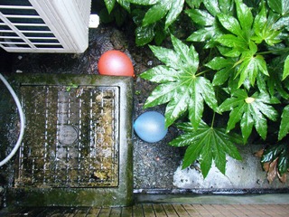 DSCF1716.JPG