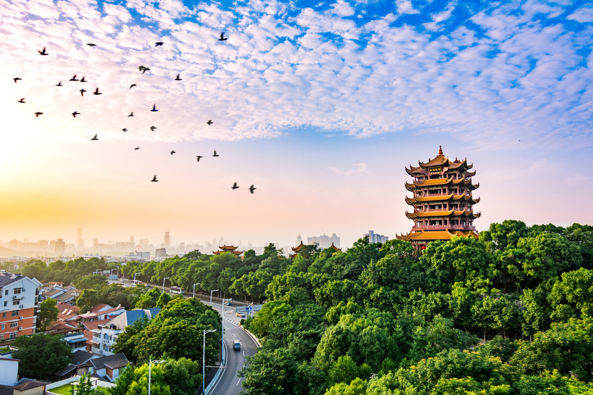 飞鸟与黄鹤楼 - 冬靑木 - 图虫网 - 优质摄影师交流社区