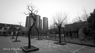 IMG_7288.jpg
