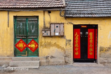 IMG_7317.jpg