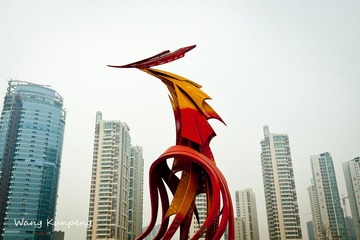 IMG_7334.jpg