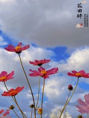 B30E889E-DC67-471C-B710-7C273F259206/L0/001