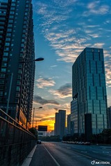DSC_1677.jpg